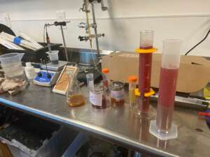 Testing our 2025 Grenache and Cab Franc