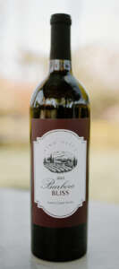 Barbera 2023 Barbera Bliss 2023