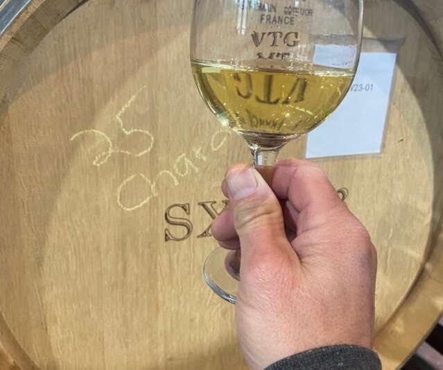 2025 Vintage: A Year in the Vineyard