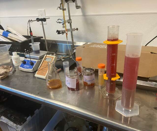 Good things take time—or so the story goes. Especially with reds.